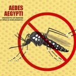 179_slider_aedes