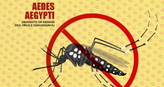 179_slider_aedes