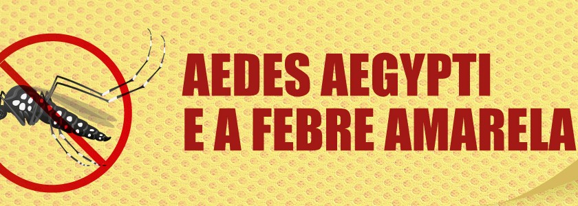 179_slider_aedes