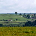 witmarsum2
