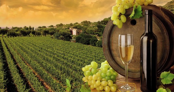 vinicola-turismo-rural