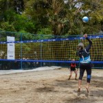 _ivo2491