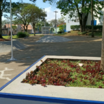 Pista de Skate
