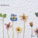 Memória e Afeto – A arte botânica
