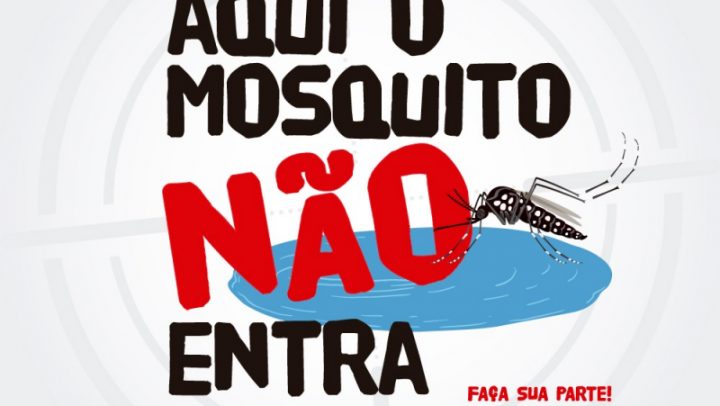 Aplicativo traz jogo interativo sobre como combater o Aedes