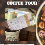 Londrina Coffee Tour – 24/05/2025 – 09:30