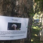 Bosque da trilha literária – 13/08/2025 a 16/08/2025 – 08:30