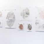 Exposição: xilocentral / O que dizem as árvores, por Nicole Christine – 09/09/2025 a 09/10/2025 – 09:00