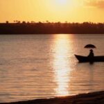 Metástase – 07/11/2025 – 19:00