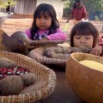 Mopái Pjuta Ãkakje’y – a roça e os alimentos Myky – 16/04/2026 – 20:00