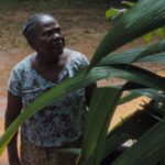 O céu não sabe meu nome – 05/11/2025 – 19:00