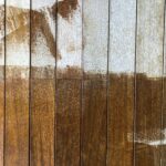 Pinturas em caixas MDF: Pintura Orgânica – 23/10/2025 – 09:15