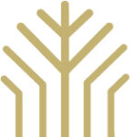 Sistema Comércio divulga finalistas do Prêmio Atena 2025