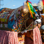 Exposição: “Festa, Fé e as suas cores” de Érica Catarina Pontes –  – 09:00