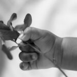 Reza para Baobabs: um ebó de palavras para Ayomi e Zola – 08/07/2026 – 13:00