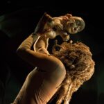 Espetáculo teatral: Habite-me, com Carolina Garcia Marques – 25/09/2026 – 19:00